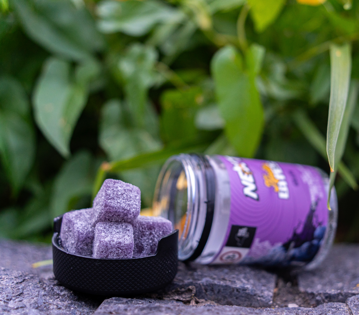 GRAPE NECTAR BITE GUMMIES