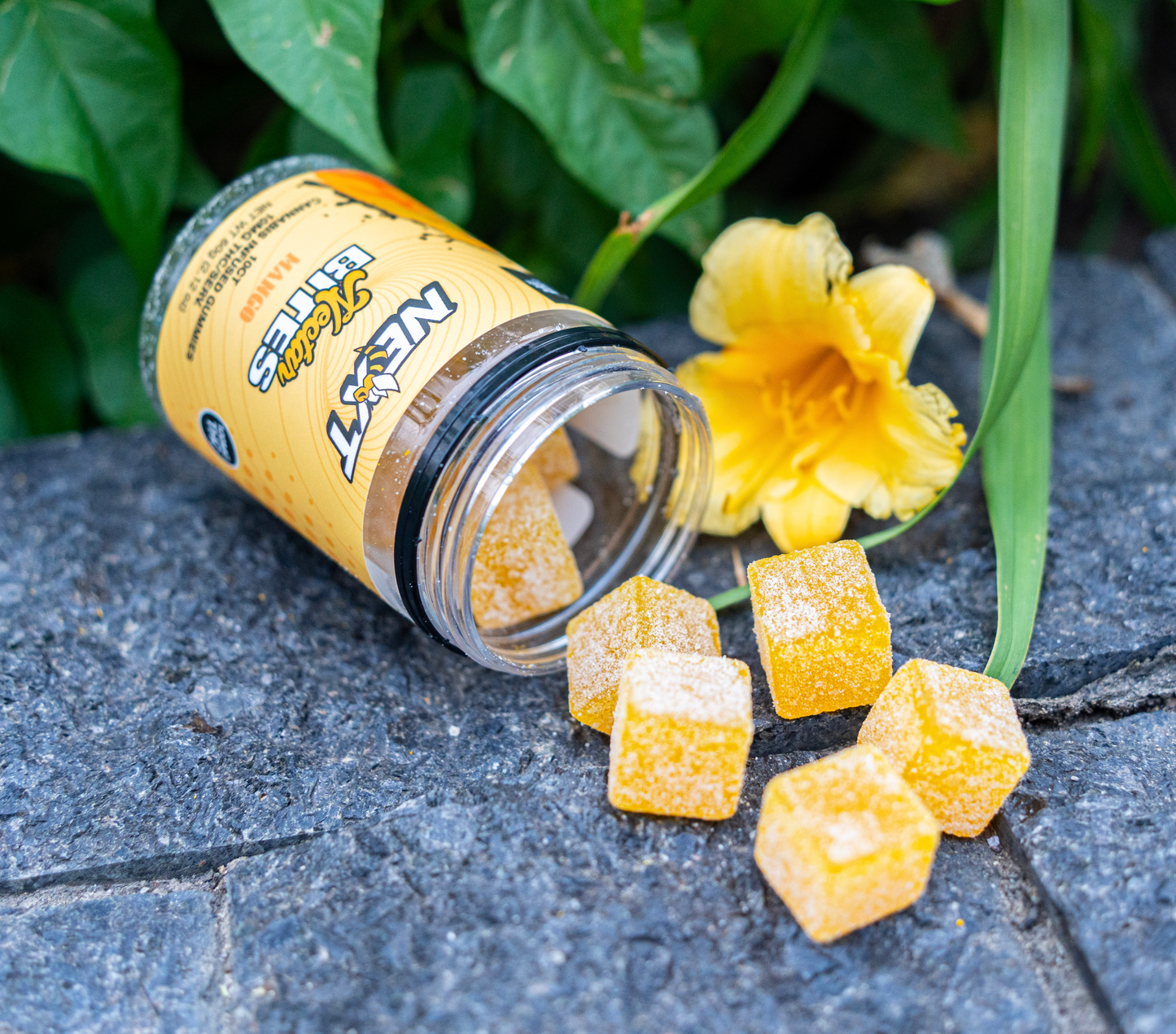 MANGO NECTAR BITE GUMMIES